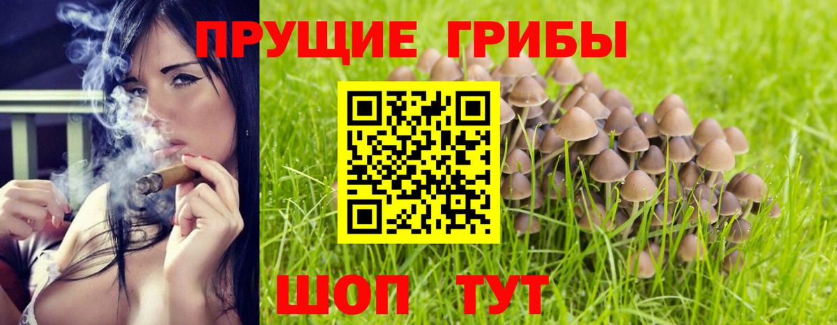 наркота  Псилоцибиновые грибы Psilocybine cubensis  Вход с VPN  Луховицы 