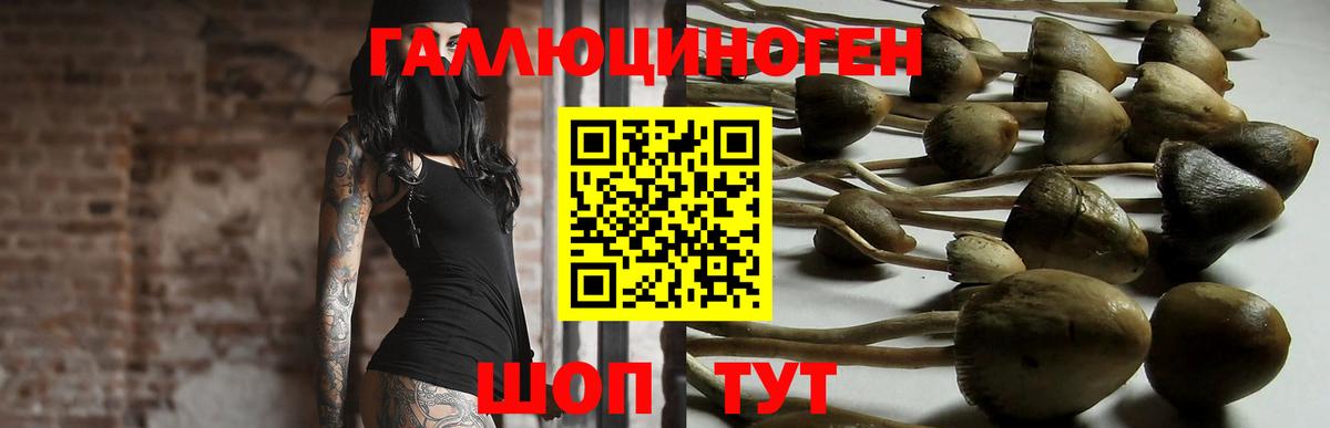 ГАШ Луховицы